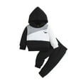 thumbnail image 1 of TEDOYE Boys Winter Outfits Sets Dinosaur Hooded Sweatshirt With Pants Toddler 1-3 Years Warm Casual Play Clothes For Daily Outdoor Travel Party Soft Wear, 9-12 Months, 1 of 9
