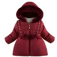 thumbnail image 1 of TEDOYE Toddler Girls Winter Coats Hooded Warm Down Jacket Stylish Winter Coats For Girls Birthday Wear, 3-4 Years, 1 of 5