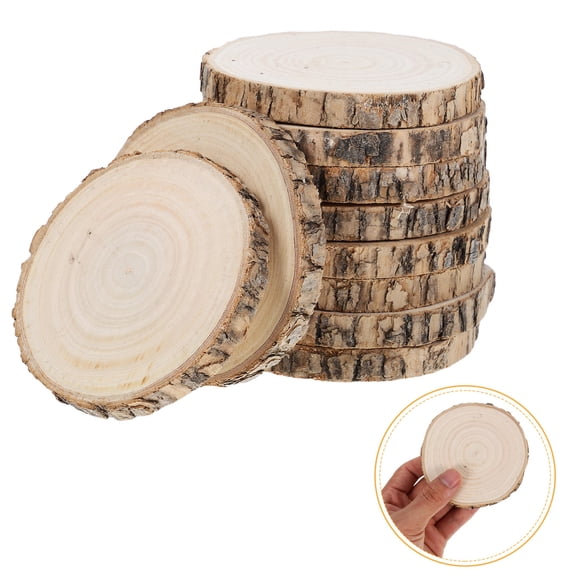 TEHAUX 10Pcs Round Wooden Slices Stable Wood Pieces for Painting and Rustic Decor