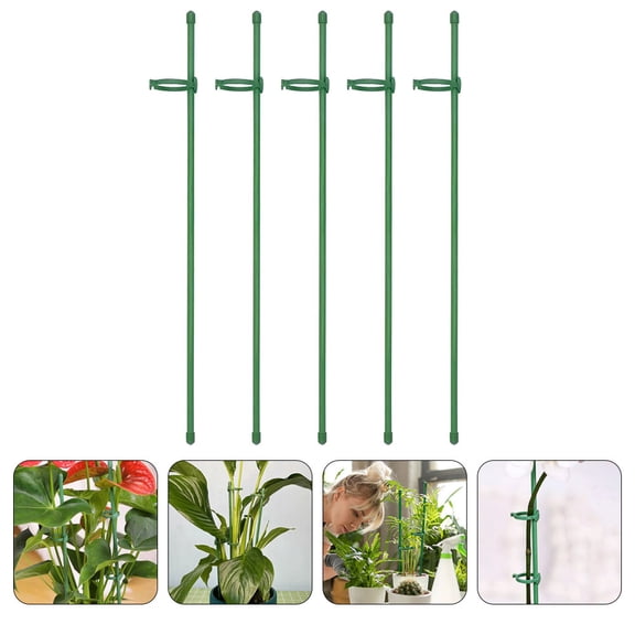 TEHAUX 12 Sets Garden Single Stem Support Stake Plant Cage Support Stakes for Vegetable