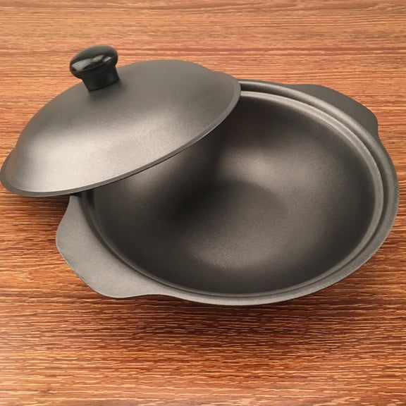 TEHAUX Small Cast Iron Casserole Pot for Everyday Cooking and Stewing, 11.8 x 7.9 x 3.9 Inches Cookware