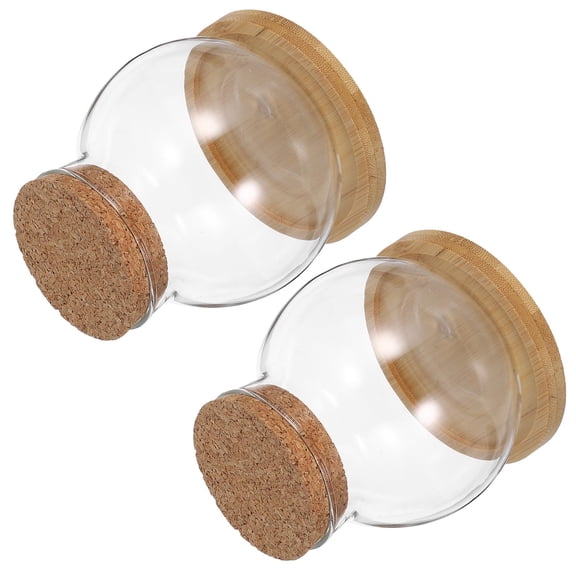 TEHAUX 2Set Desktop Round Glass Plant Planter for Hydroponic Growing with Bamboo Mat Base