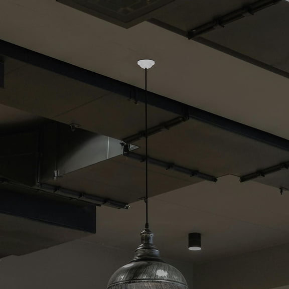 TEHAUX 20Pcs White Iron Ceiling Mount Plate for Pendant Or Chandelier with Easy Installation