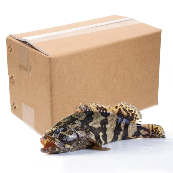 TEHAUX 2Pcs Stackable Insulated Cooler Boxes for Shipping Perishable Food Items