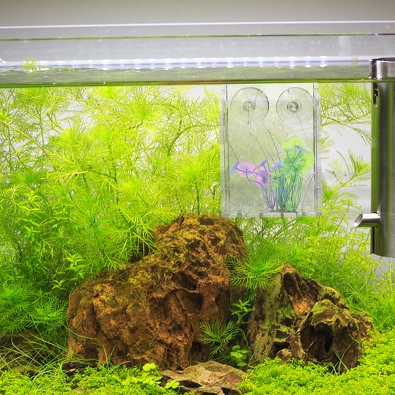 TEHAUX 3-Pack Clear Acrylic Aquatic Plant Planter Pots Hanging Design for Aquarium Decoration and Space Optimization