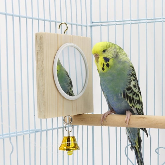 TEHAUX Parrot Mirror Toy for Birds, Toy with Mirror, Interactive Pet Bird Accessory, 1 Set