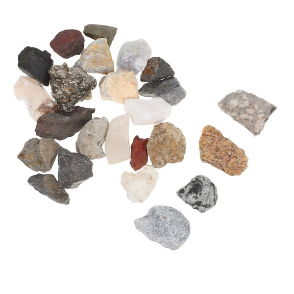 TEHAUX 24-Piece Natural Stone Specimen Collection Set with Storage Box Rocks for Home and Educational Use