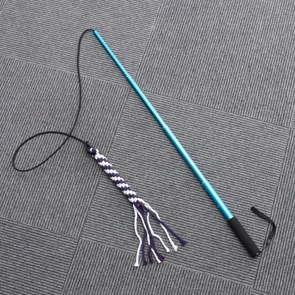 TEHAUX Interactive Dog Toy Flirt Pole Extendable Pet Exercise Training Toy for Dogs 1 Set