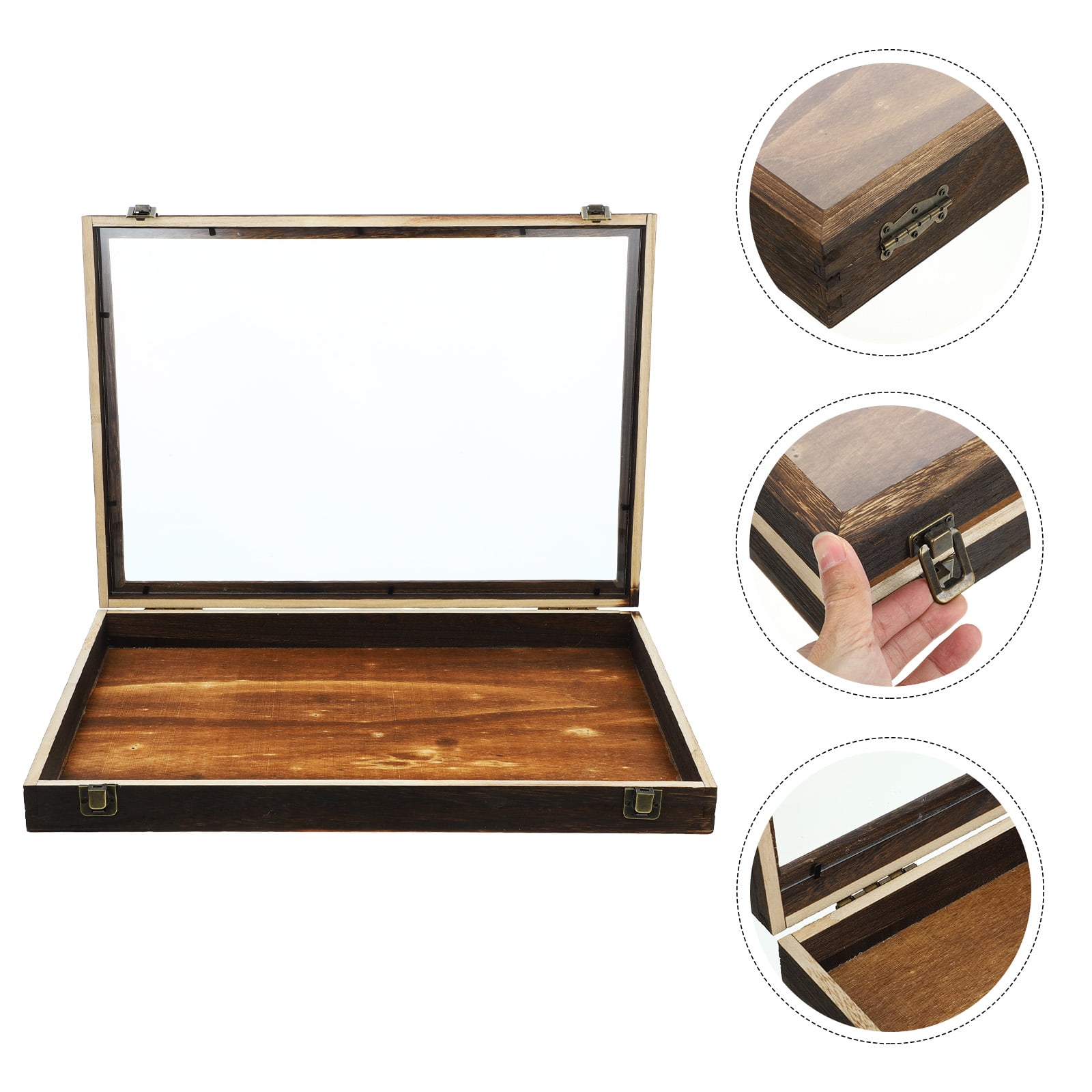 Small Insect Display Box TEHAUX Insect Display Case Hangable Wooden Collection Box Clear Lid ...