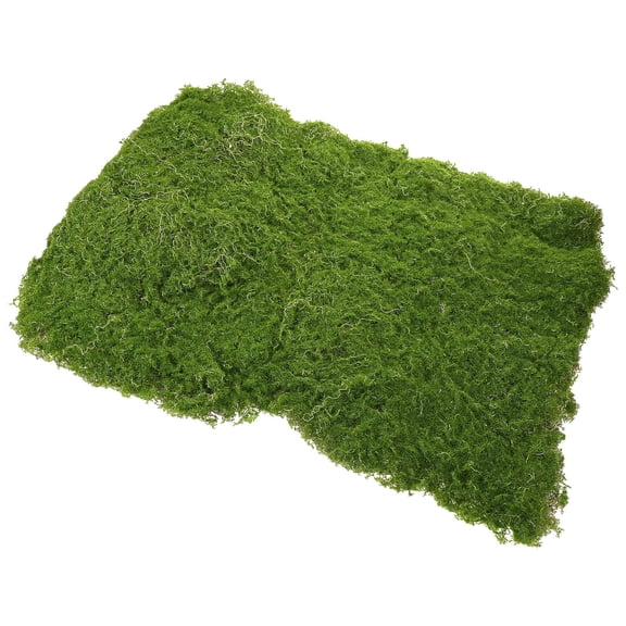 TEHAUX Artificial Green Plastic Turf for Landscape, Garden Accessories, Model Scenery, and Craft Decoration