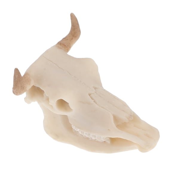 TEHAUX Aquarium Decor White Resin Skull Fish Tank Ornament Fish Shelter Cave for Office