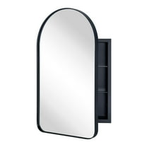 TEHOME Aristes Recessed Framed Medicine Cabinet with Mirror and Adjustable Shelves 16" x 28.3" - Black