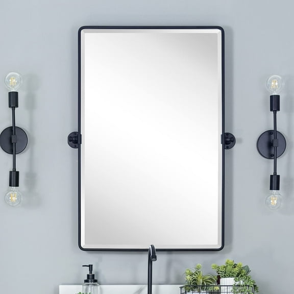 TEHOME Woodvale 20 in. W x 30 in. H Medium Rectangular Metal framedd Wall Mounted Bathroom Vanity Mirror in Matt Black