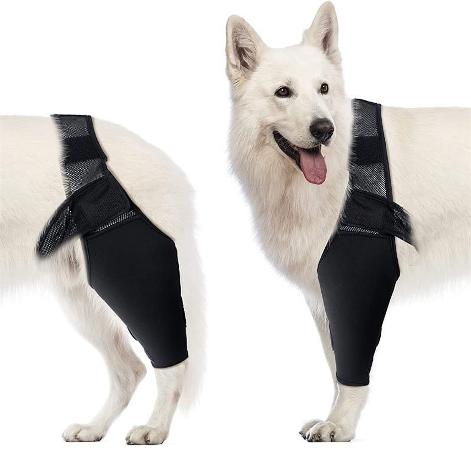 TEL Dog Elbow Brace Protector Pads, Elbow Support Compression Wrap Knee