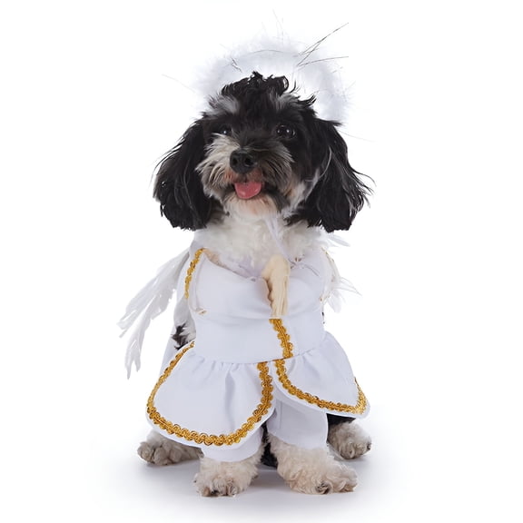 TELOLY 2025 Halloween Costumes for Dogs, Angel Small Dog Halloween Costume XL