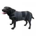 thumbnail image 1 of TELOLY 2026 New Dog Anxiety Relief Jacket, Calming Vest for Separation, Thunderstorm, Travel, Fireworks, Vet Visits, 1 of 6