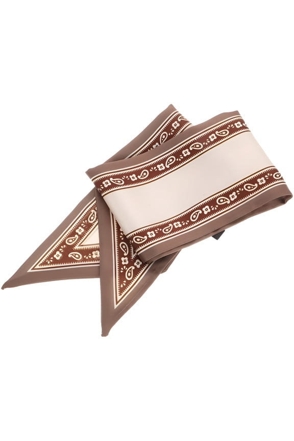 2026 New Silk Scarf Tote Bag for Women Purse Tote Silk Neckerchief Ponytail Scarf Women Neck Scarf Skincare Headband for Work, Travel, Casual, Evening, Outdoor