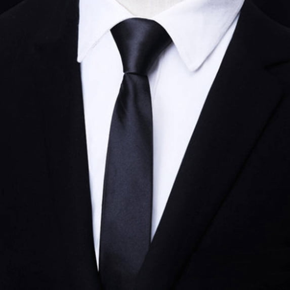 TELOLY 4Pcs Men'S Ties Hand-Embroidered Design Necktie Perfect for Professional Attire Corbatas Para Hombres Elegantes Style