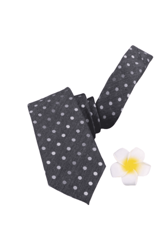 TELOLY Dot Tie Modern,Fashionable Dot Tie with Sturdy Fabric and Exquisite Design Jacquard Tie Dm4-003