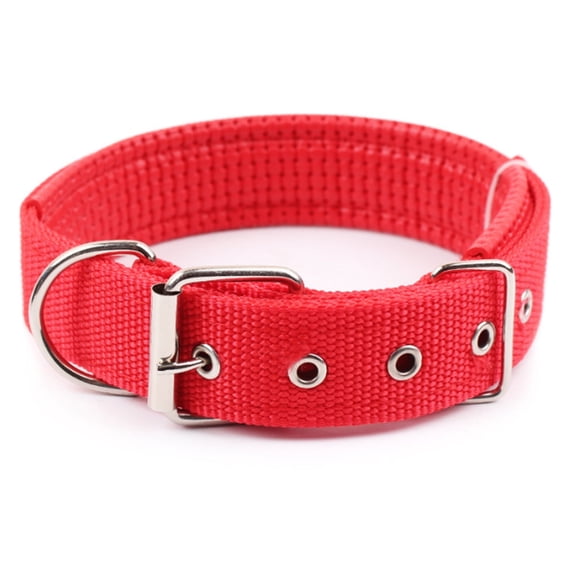 GASTROPOD Heavy Duty Dog Collar, Adjustable and Reflective, Shock Collar for Dogs with Metal Buckle