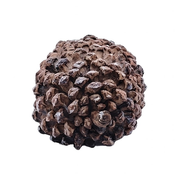 TELOLY Hide a Key,Garden Key Hider,Pinecone Spare Keys Box Outdoor Garden Security Diversion Safe Storage Case Lifelike Key Box