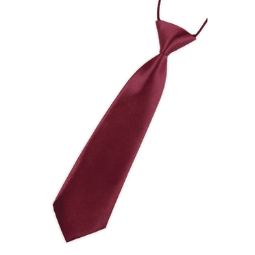 TELOLY Men'S Ties Basic Color Design Necktie British-Inspired Korean Fashion Corbatas Para Hombres Elegantes Brick Red