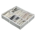 thumbnail image 1 of TELOLY Shoe Boxes Anti-Mold Nonwoven Shoe Boxes Effortless ZiPPer Action Shoe Boxes Clear Plastic Stackable Style4, 1 of 4