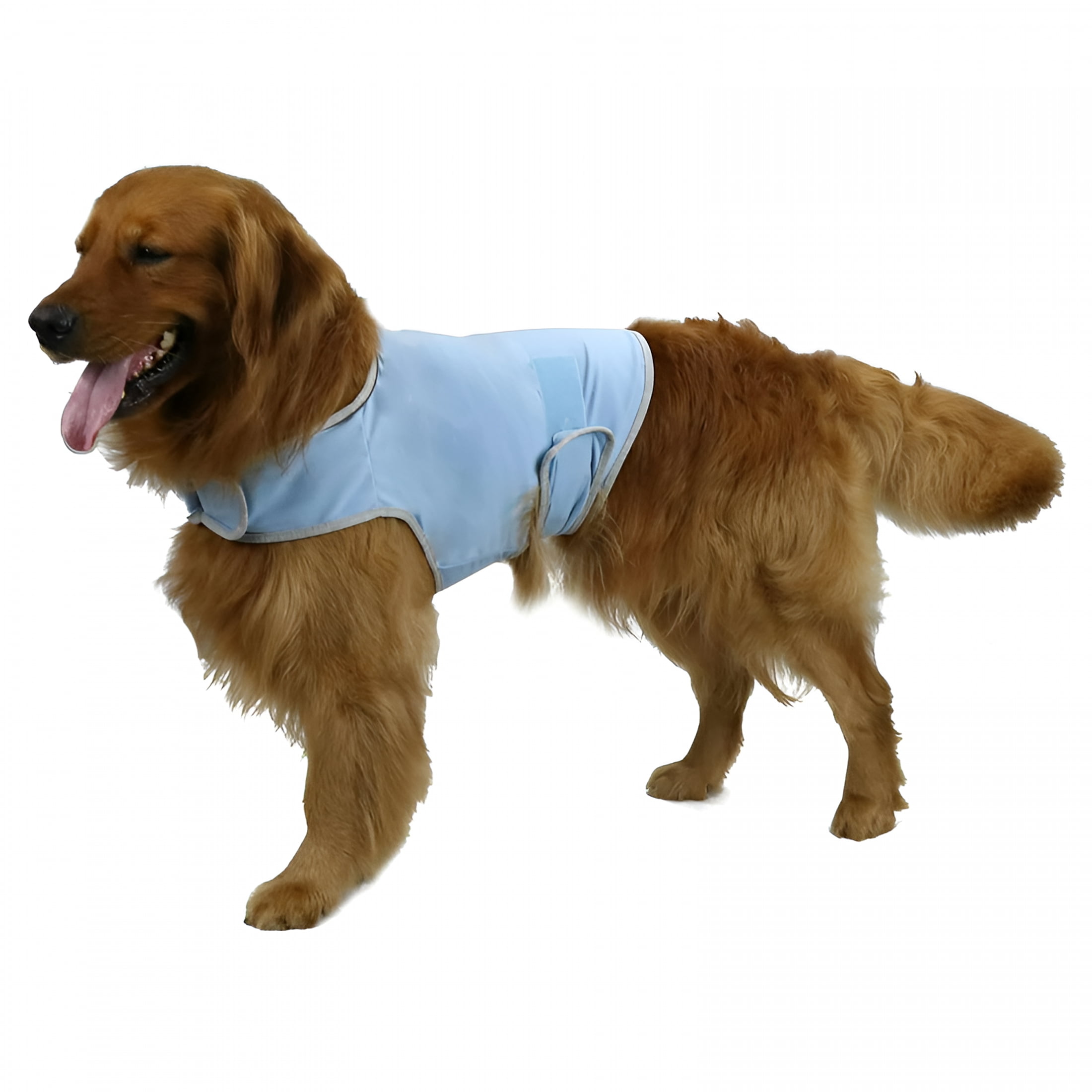 Curated visual reference: Picture Idea: Teloly Thunder Jacket For Dogs Anxiety Relief Dog Anxiety Vest