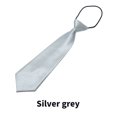 thumbnail image 1 of TELOLY Ties for Men,Solid Color Pink Tie,Design Corbatas Para Hombres Elegantes,Silver Gray, 1 of 2