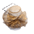 thumbnail image 1 of TELOLY Top Hat Summer Organza Hat with Large Brim Sun Hats for Women Large Floral Mesh Hat with Wide Brim Beach Hat,Brown, 1 of 2