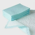 thumbnail image 1 of TENA Underpad Regular Light Absorbency Disposable Adult Unisex 17" X 24", Blue, 25 Count, 1 of 5
