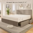 thumbnail image 1 of TEQIN Bed Frame with Tall Tufted Wingback Headboard, Velvet Upholstered Full Bed Frame with 4 Storage Drawers and Wooden Slats Support,No Box Spring Needed,Low Noise Full Size /Queen Size/ King Size, 1 of 8