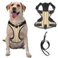 thumbnail image 1 of TEQUAN Small Dog Harness with Leash, Abstraction Geometric Stripes Prints Reflective No Pull Adjustable Pet Vest (S), 1 of 7