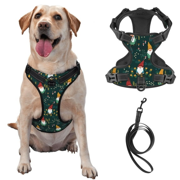 TEQUAN Small Dog Harness with Leash, Cute Little Gnomes Mushroom Prints Reflective No Pull Adjustable Pet Vest (S)