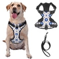 thumbnail image 1 of TEQUAN Small Dog Harness with Leash, Mystic Blue Amulet Evil Eyes Prints Reflective No Pull Adjustable Pet Vest (S), 1 of 7