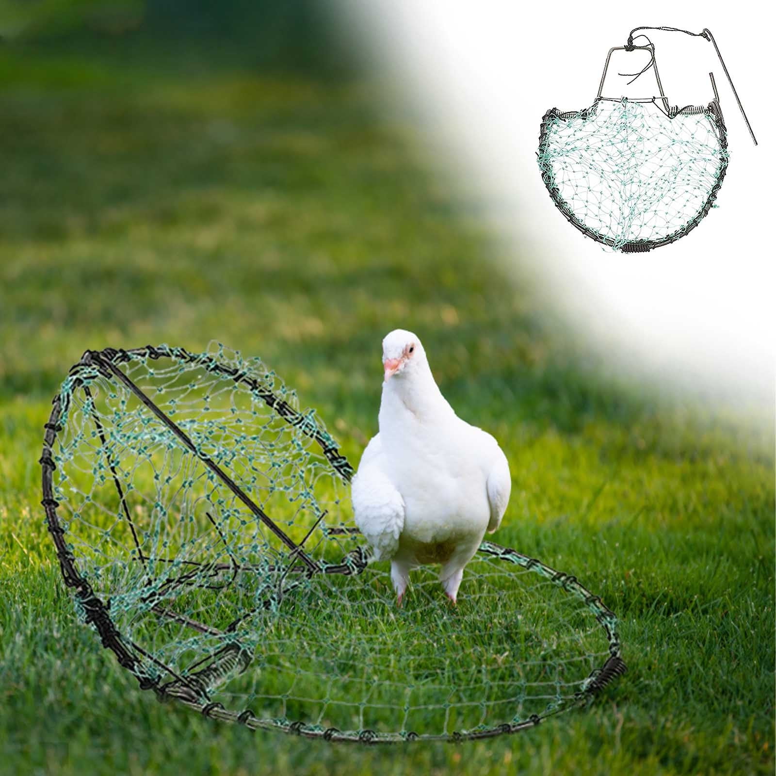 TERGAYEE Bird Trap Hunting Net,20cm Diameter Encrypted Automatic