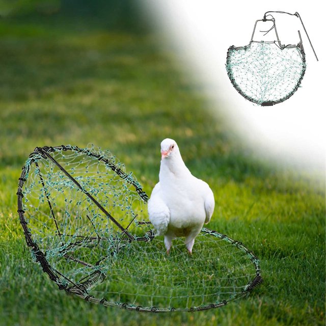 TERGAYEE Bird Trap Hunting Net,20cm Diameter Encrypted Automatic