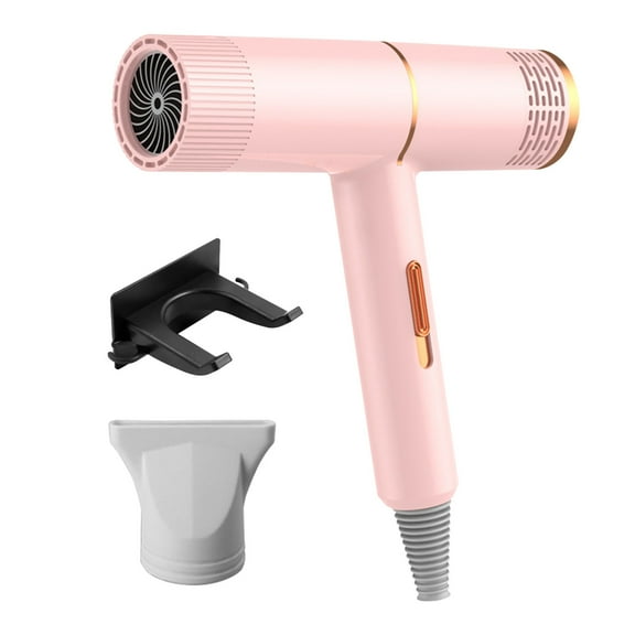 TERGAYEE Electric Hair Dryer,High-Power Electric Hair Dryer Home Hair Dryer Hot Wind,Adjustable Temp and Speed,for Home Travel,Gifts