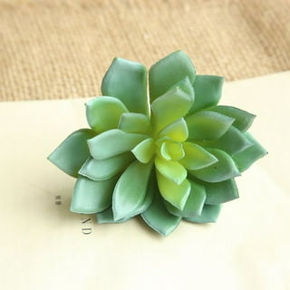 Fake Mini Succulent Plant Artificial Floral Garden Plastic Flower Home Decor Fake Mini Succulent Plant Artificial Floral Garden Plastic Flower Home Decor