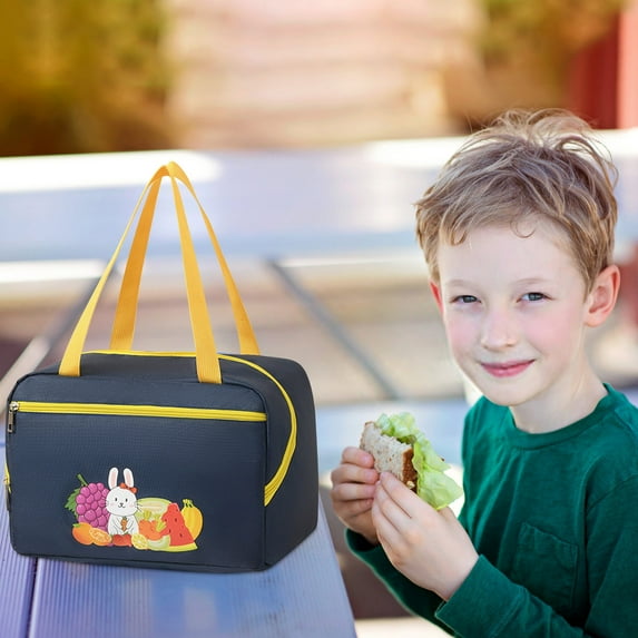 TERGAYEE Lunch Bag Portable Lunch Bag Handheld Picnic Bag Insulated Lunch Bag Bento Bag Oxford Cloth Lunch Box Bag Meal Bag