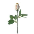 thumbnail image 1 of TERGAYEE Softball Rose,Sport Roses Softball Senior Gifts Bouquet Decorations Artificial Flowers for Fathers Mothers Day, 1 of 3