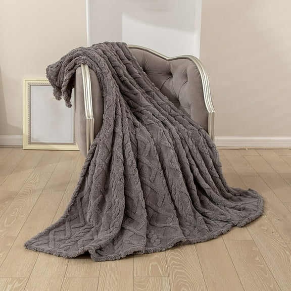 TERGAYEE Solid Color Four Seasons Warm Taffeta Lambswool Blanket Thickened Spring and Summer Nap Blanket Cover Blanket, Weighted Blankets for Adults 100 x 120cm