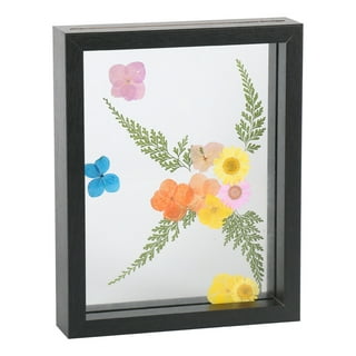 NUOLUX Press Flower Box Dry Flower Display Frame DIY Flower Frame Specimen  Display Frame