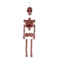 thumbnail image 1 of Skeleton Wall Decoration, Terracotta, 16.7", Halloween by Way To Celebrate, 1 of 6