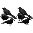 thumbnail image 1 of TETOU 6pcs Halloween Black Feathered Foam Crows Realistic Bird Halloween Ravens Decor Props, 1 of 7