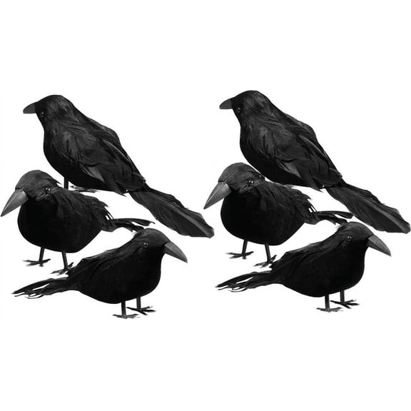 TETOU 6pcs Halloween Black Feathered Foam Crows Realistic Bird Halloween Ravens Decor Props