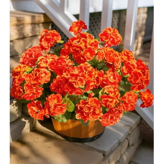 TETOU 6pcs Outdoors Artificial Fake Fall Flowers, UV Resistant Faux Silk Geranium Flowers for Fall Halloween Thanksgiving Outside Planter Garden Yard Table Centerpieces Decoration(Orange)