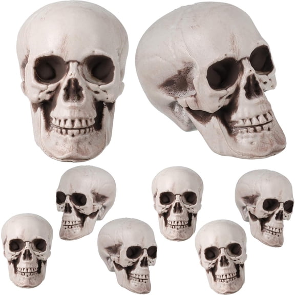 TETOU 8Pcs Hallowe'en Skulls, 2.0*2.4*3 Inches Realistic Looking Skulls, Human Skeleton Head Skull for Hallowe'en Bar Home Table Decoration