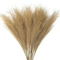 thumbnail image 1 of TETOU 8pcs Faux Pampas Grass 38"/3.1FT Tall Floral Large Artificial Pompous Grass Branches for Vase Filler Home Boho Decor - Brown, 1 of 8