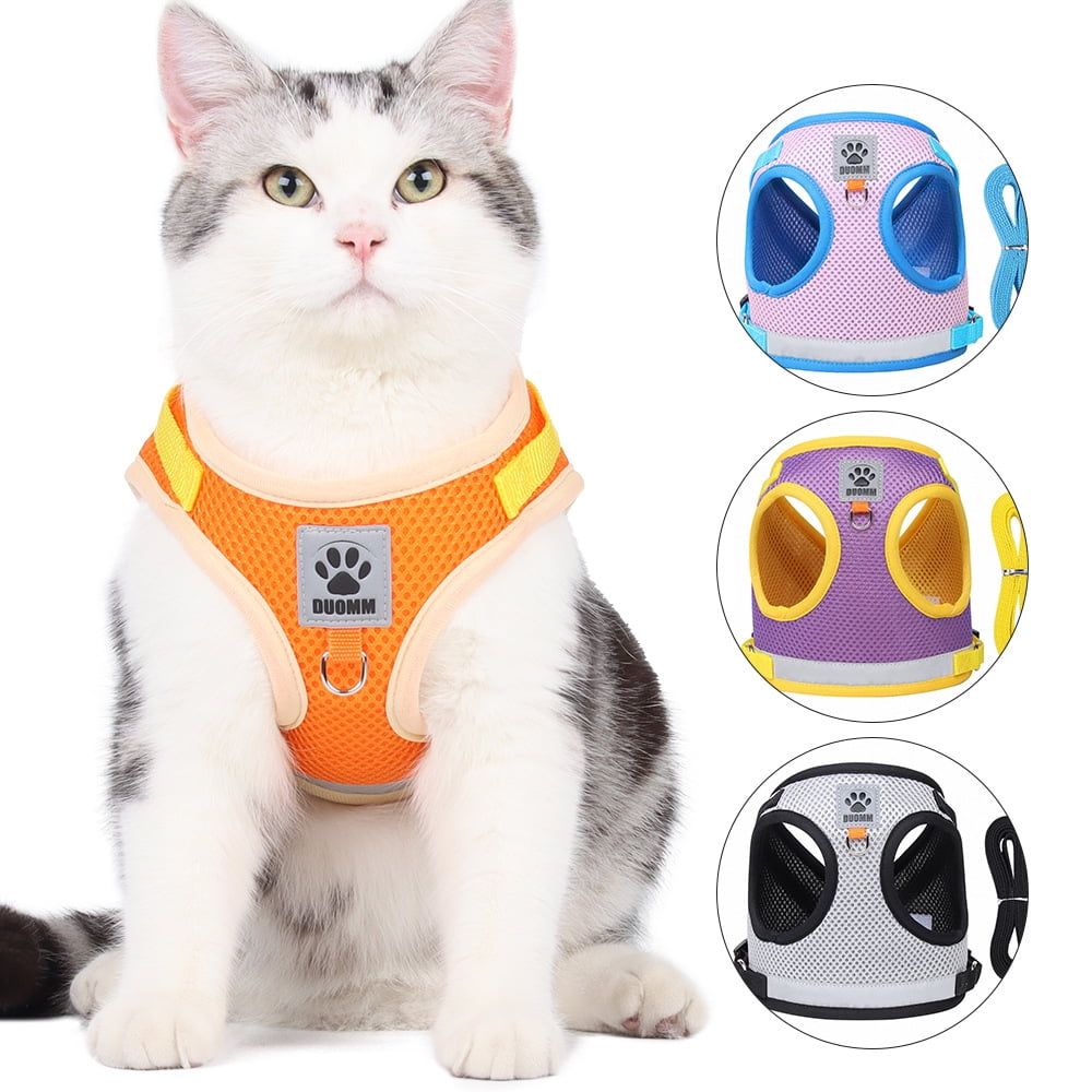 Beautiful view of Plug Analog Cat Walking Harness Vest